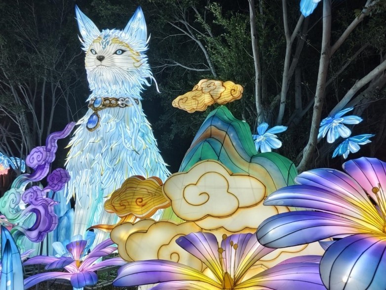 1772103474165639.jpeg 3.JPEG